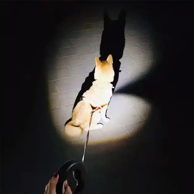 Correa Retráctil Para Mascota con Linterna