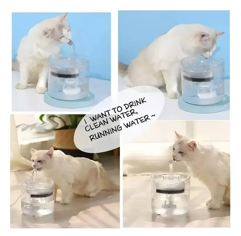 Bebedero Agua Para Mascotas
