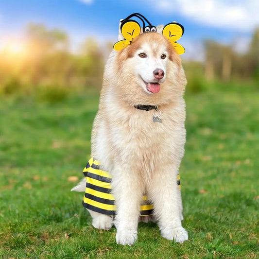Disfraz Para Mascota Abeja Halloweeen