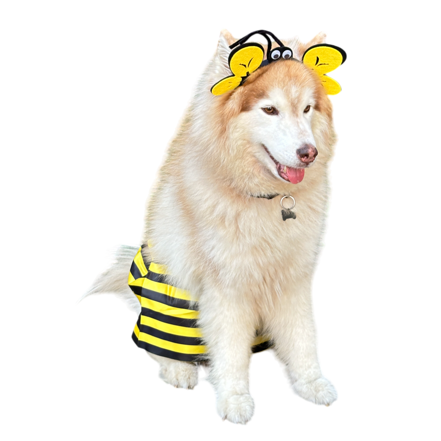Disfraz Para Mascota Abeja Halloweeen
