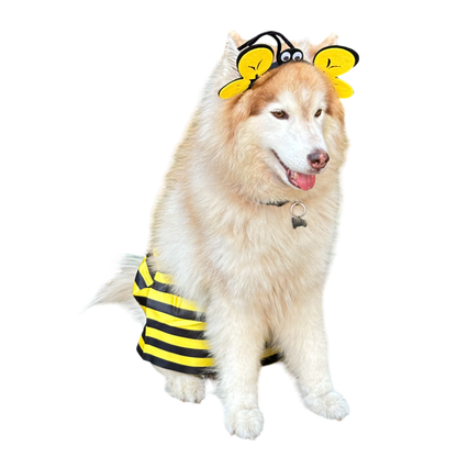 Disfraz Para Mascota Abeja Halloweeen
