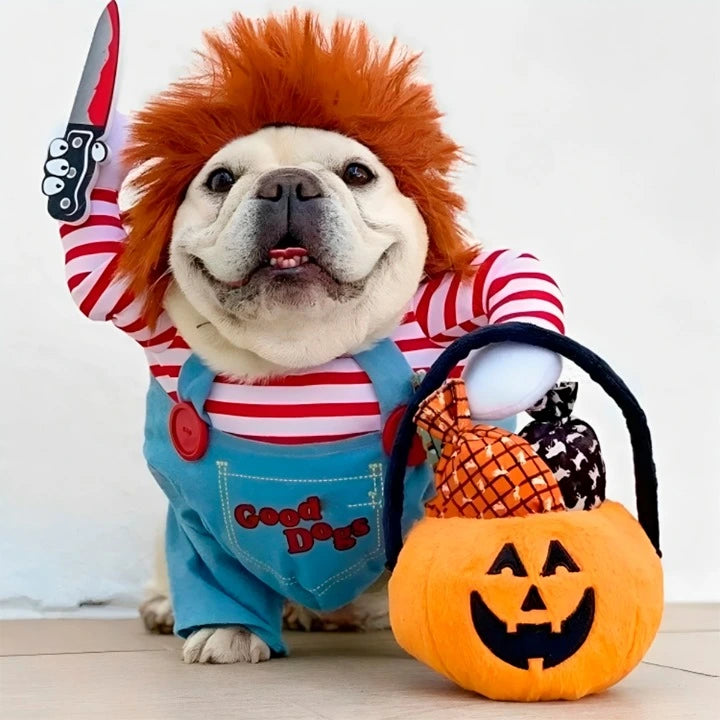 Disfraz Mascotas Chucky Pero y Gato Halloween