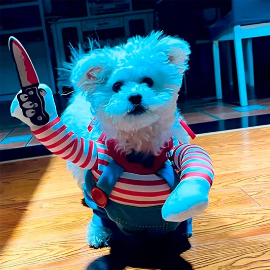 Disfraz Mascotas Chucky Pero y Gato Halloween