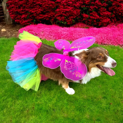 Disfraz Para Mascota Mariposa