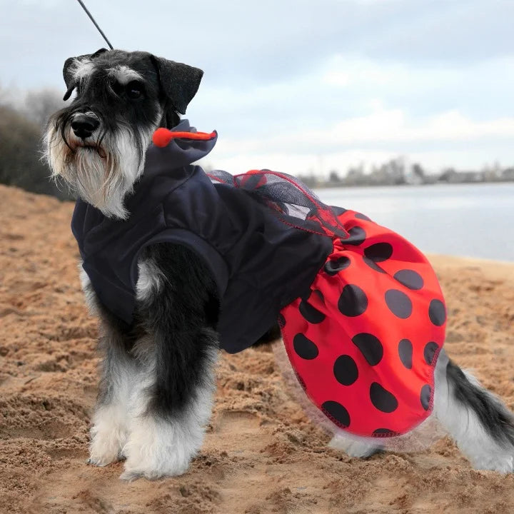 Disfraz Para Mascota Mariquita
