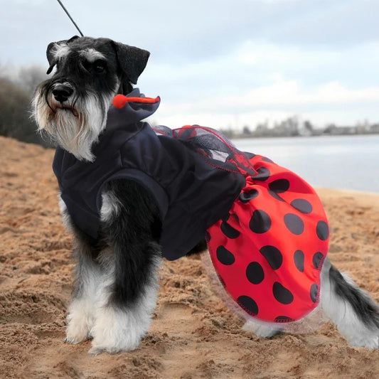 Disfraz Para Mascota Mariquita