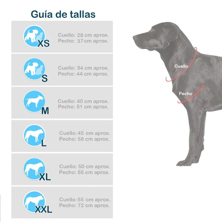 Disfraz Para Mascota Mariquita