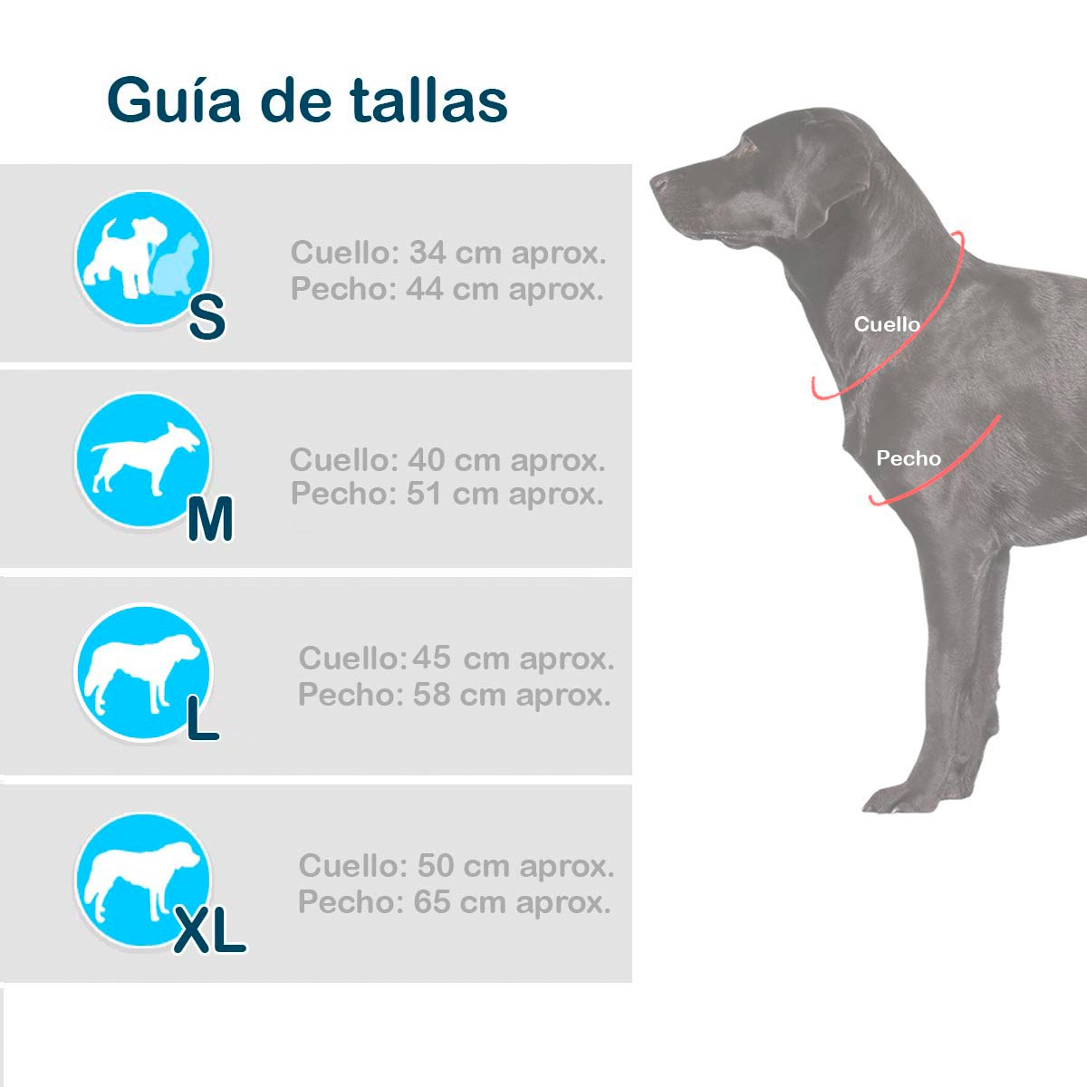 Disfraz Para Mascotas Spiderman