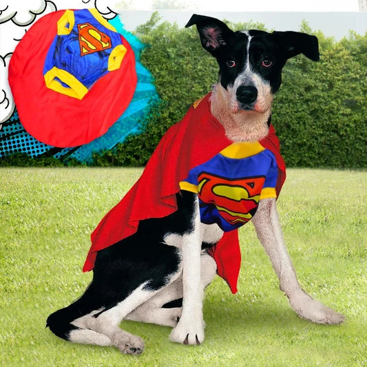 Disfraz Mascotas Super Man