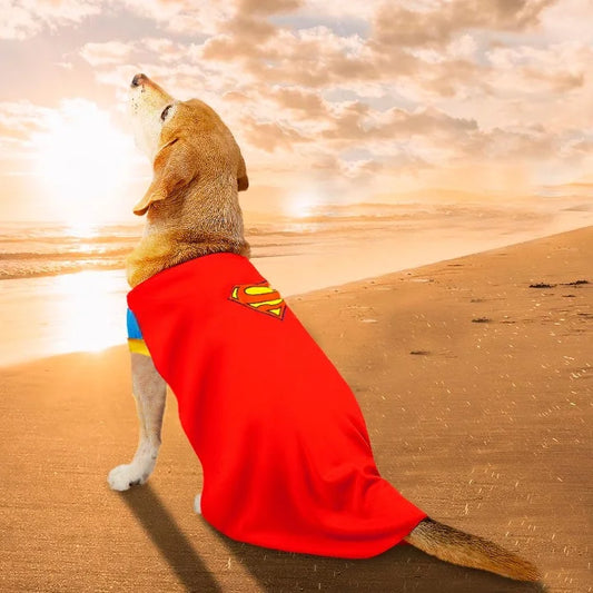 Disfraz Mascotas Super Man
