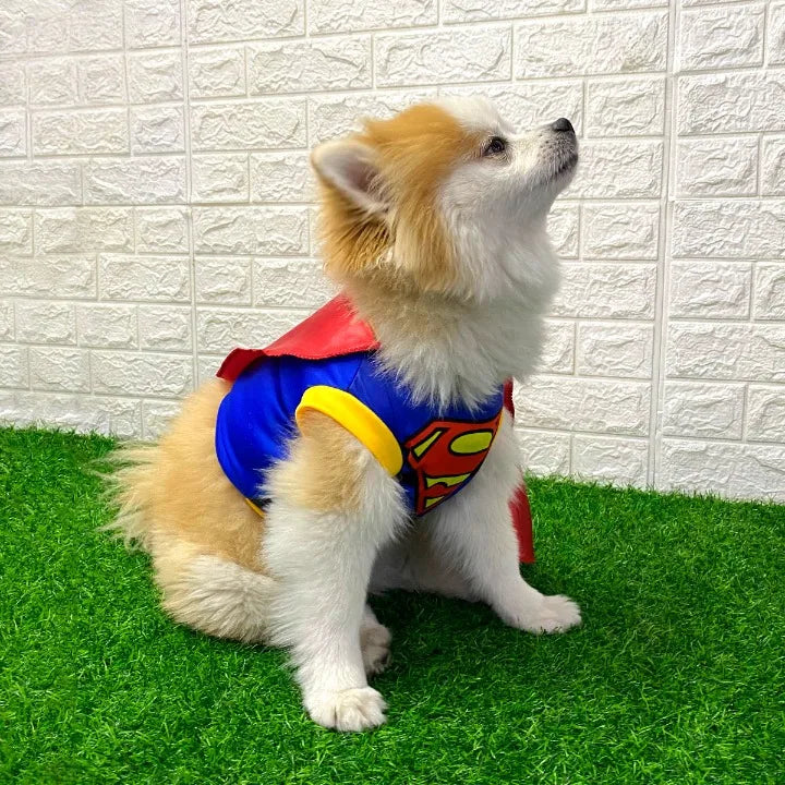 Disfraz Mascotas Super Man