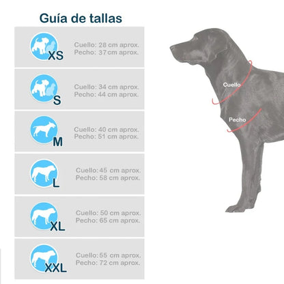 Disfraz Mascotas Super Man