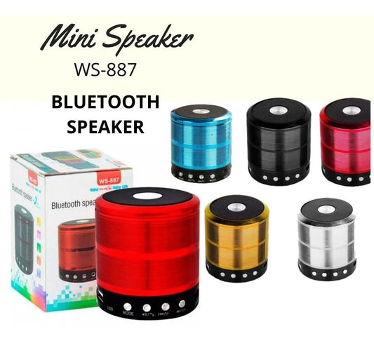 Parlante Ws887